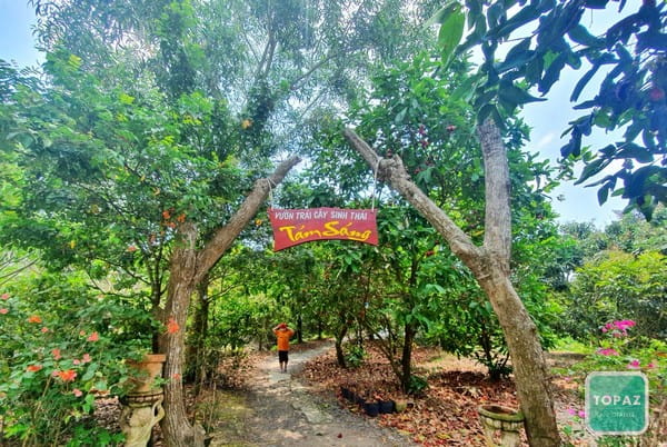 Vườn cây ăn trái Tám Sáng - Vườn sinh thái Châu Thành An Giang