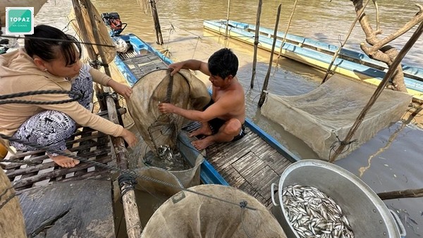 Kênh Vĩnh Tế - "Trục nước ngọt" của Tứ giác Long Xuyên